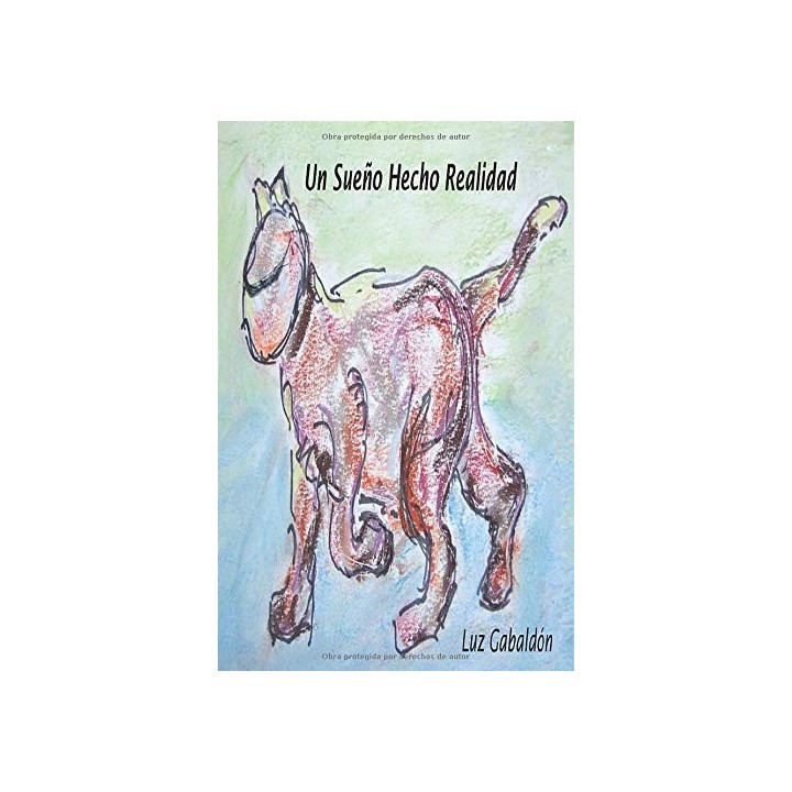 Un Sueño Hecho Realidad (Dedicatoria y firma autógrafa de autora) PRIMERA EDICION